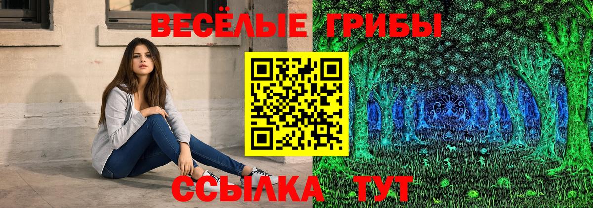 Галлюциногенные грибы Psilocybine cubensis Алейск